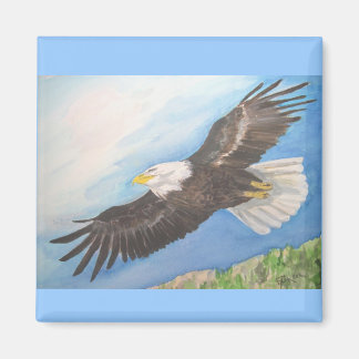 Aimant Aigle de tête dans l'aimant de vol