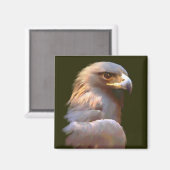 Aimant Aigle d'or (Recto/Verso)