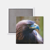 Aimant Aigle d'or (Recto/Verso)