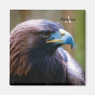 Aimant Aigle d'or