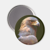 Aimant Aigle d'or (Recto/Verso)