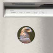 Aimant Aigle d'or (In Situ (Lave-vaisselle))