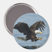 Aimant Aigle en approche (Recto/Verso)
