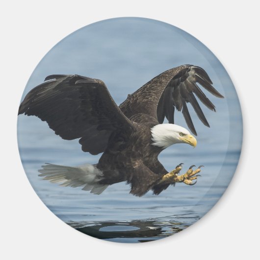 Aimant Aigle en approche (Devant)