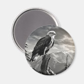 Aimant Aigle Oiseau sauvage Nature Encre Style croquis (Recto/Verso)
