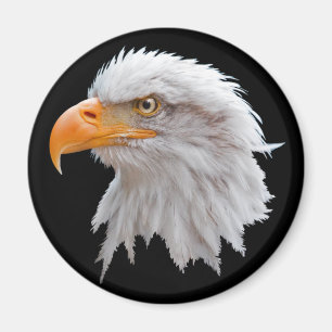 Aimant Aigle Royal d'Alaska