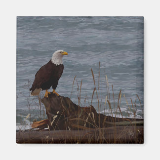 Aimant Aigle sur South Beach