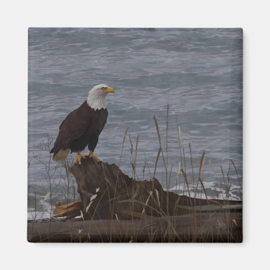 Aimant Aigle sur South Beach (Devant)