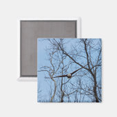 Aimant Aigle tout droit (Recto/Verso)