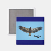 Aimant Aigle volant (Recto/Verso)