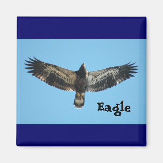 Aimant Aigle volant