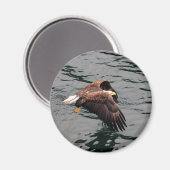 Aimant Aigle volant avec des ailes (Recto/Verso)