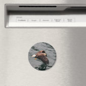 Aimant Aigle volant avec des ailes (In Situ (Lave-vaisselle))