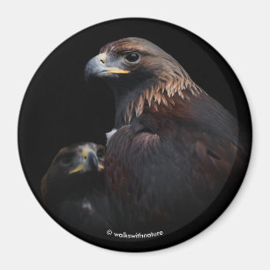 Aimant Aigles d'or : Beautés à travers les bars