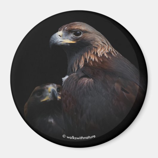 Aimant Aigles d'or : Beautés à travers les bars (Devant)