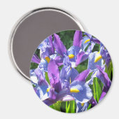 Aimant Aiguille bleu et violet Irises (Recto/Verso)