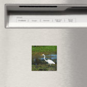 Aimant Aiguille de chasse (In Situ (Lave-vaisselle))