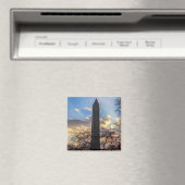 Aimant Aiguille de Cleopatra/Obélisque à Central Park (In Situ (Lave-vaisselle))