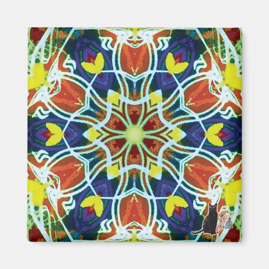 Aimant Aiguille Kaleidoscope (Devant)