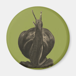 Aimant Aiguilles Pastels Dessiner de l'aimant rond