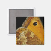 Aimant Aile de Papillon (Recto/Verso)