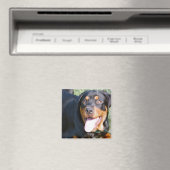 Aimant Aimable Carré Rottweiler (In Situ (Lave-vaisselle))