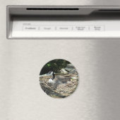 Aimant 'Aimant à oie frigo (In Situ (Lave-vaisselle))