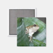 Aimant 'Aimant de grenouille frigo (Recto/Verso)
