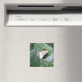Aimant 'Aimant de grenouille frigo (In Situ (Lave-vaisselle))