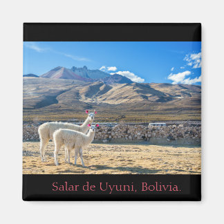 Aimant Aimant, Flammes Saler d'Uyuni, la Bolivie