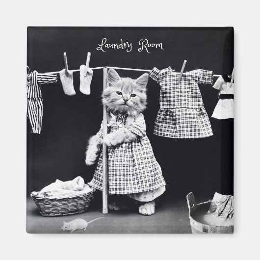 Aimant Aimant, Lave-linge à suspension de chat (Devant)