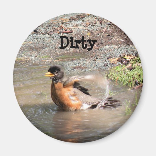 Aimant Aimant, Lave-vaisselle, Robin prenant un bain, Sal (Devant)