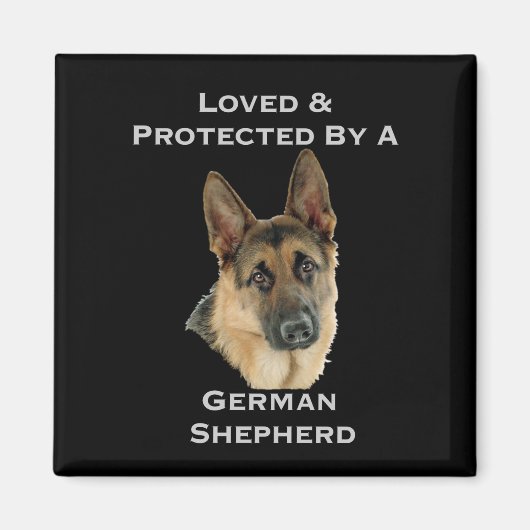 Aimant Aimé Et Protégé Par Un Berger Allemand (Devant)