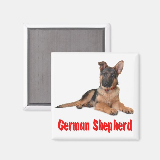 Aimant Aimer Allemand Berger Chien Chien Chien Chien Chie (Recto/Verso)
