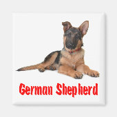 Aimant Aimer Allemand Berger Chien Chien Chien Chien Chie (Devant)