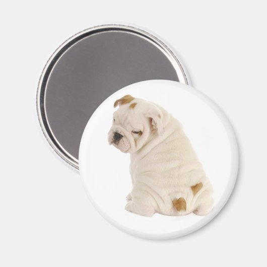 Aimant Aimer Anglais Bulldog Chien Chien Chien Chien Chie (Recto/Verso)