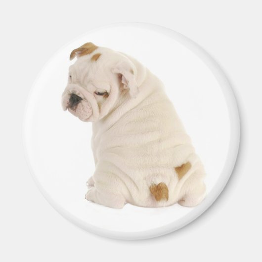 Aimant Aimer Anglais Bulldog Chien Chien Chien Chien Chie (Devant)