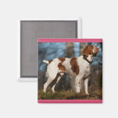 Aimant Aimer chiot Brittany Spaniel (Recto/Verso)