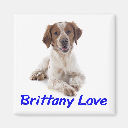 Aimant Aimer chiot Brittany Spaniel (Devant)