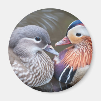 Aimant Aimer les canards