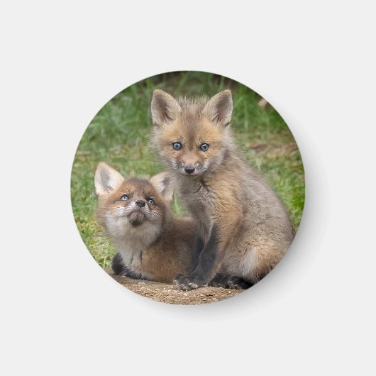 Aimant Aimer les yeux (Devant)