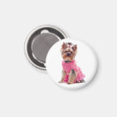 Aimant Aimer Yorkshire Terrier Chien Chien Chien Chien Ma (Recto/Verso)