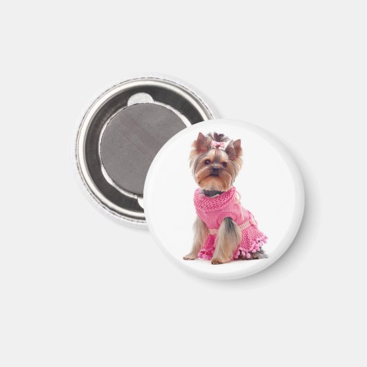 Aimant Aimer Yorkshire Terrier Chien Chien Chien Chien Ma (Recto/Verso)