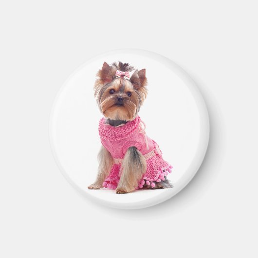 Aimant Aimer Yorkshire Terrier Chien Chien Chien Chien Ma (Devant)