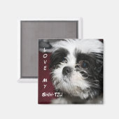 Aimant Aimez Mon Chih-Tzu (Recto/Verso)