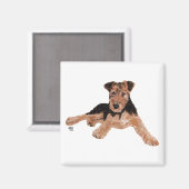 Aimant Airedale, Lakeland, Welsh Terrier Pup (Recto/Verso)