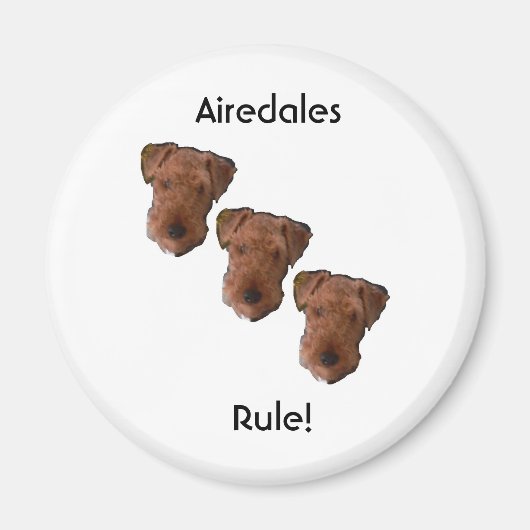 Aimant Airedales Règle ! (Devant)