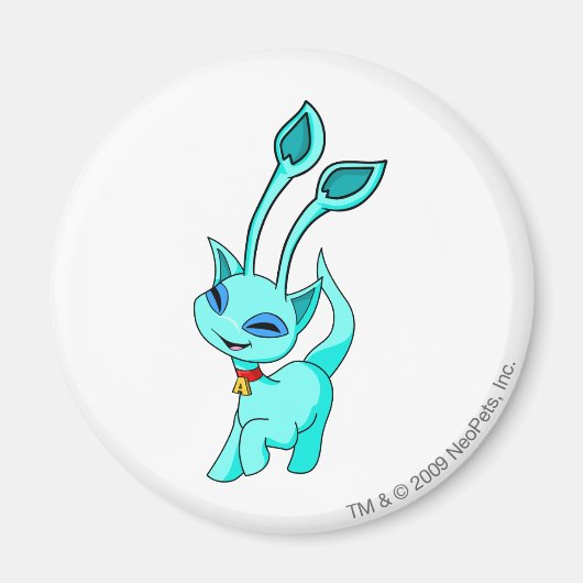 Aimant Aisha Blue (Devant)