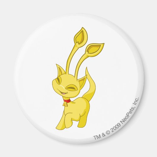 Aimant Aisha Gold (Devant)