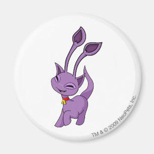 Aimant Aisha Purple